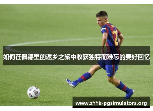 如何在佩德里的返乡之旅中收获独特而难忘的美好回忆 如何在佩德里的返乡之旅中收获独特而难忘的美好回忆