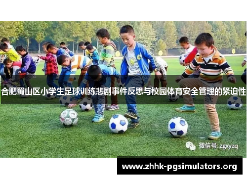 合肥蜀山区小学生足球训练悲剧事件反思与校园体育安全管理的紧迫性 合肥蜀山区小学生足球训练悲剧事件反思与校园体育安全管理的紧迫性