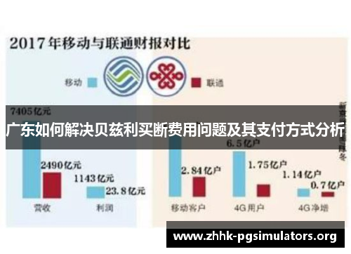 广东如何解决贝兹利买断费用问题及其支付方式分析 广东如何解决贝兹利买断费用问题及其支付方式分析