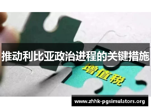 推动利比亚政治进程的关键措施 推动利比亚政治进程的关键措施