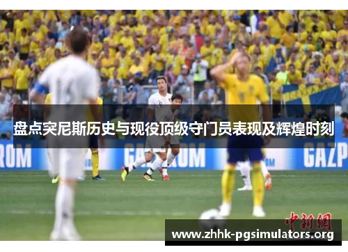 盘点突尼斯历史与现役顶级守门员表现及辉煌时刻 盘点突尼斯历史与现役顶级守门员表现及辉煌时刻