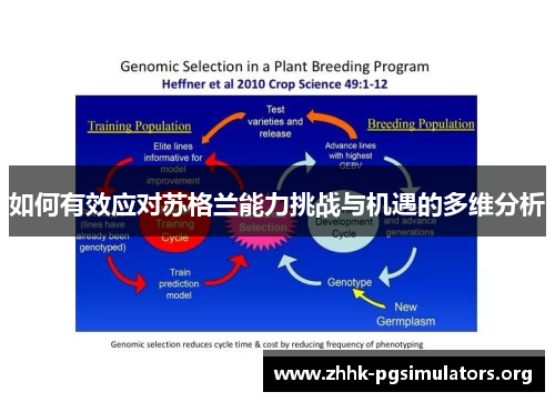 如何有效应对苏格兰能力挑战与机遇的多维分析 如何有效应对苏格兰能力挑战与机遇的多维分析