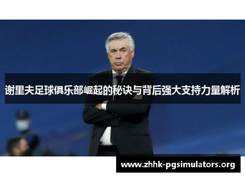 谢里夫足球俱乐部崛起的秘诀与背后强大支持力量解析 谢里夫足球俱乐部崛起的秘诀与背后强大支持力量解析