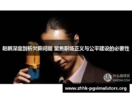 赵鹏深度剖析欠薪问题 聚焦职场正义与公平建设的必要性 赵鹏深度剖析欠薪问题 聚焦职场正义与公平建设的必要性