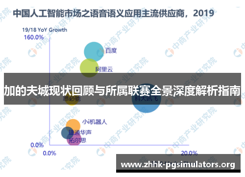 加的夫城现状回顾与所属联赛全景深度解析指南 加的夫城现状回顾与所属联赛全景深度解析指南